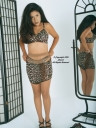 sheerio_020981.jpg