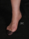 sheerio_034431.jpg