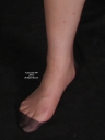 sheerio_034433a.jpg