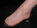 sheerio_034434a.jpg