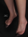 sheerio_034440b.jpg